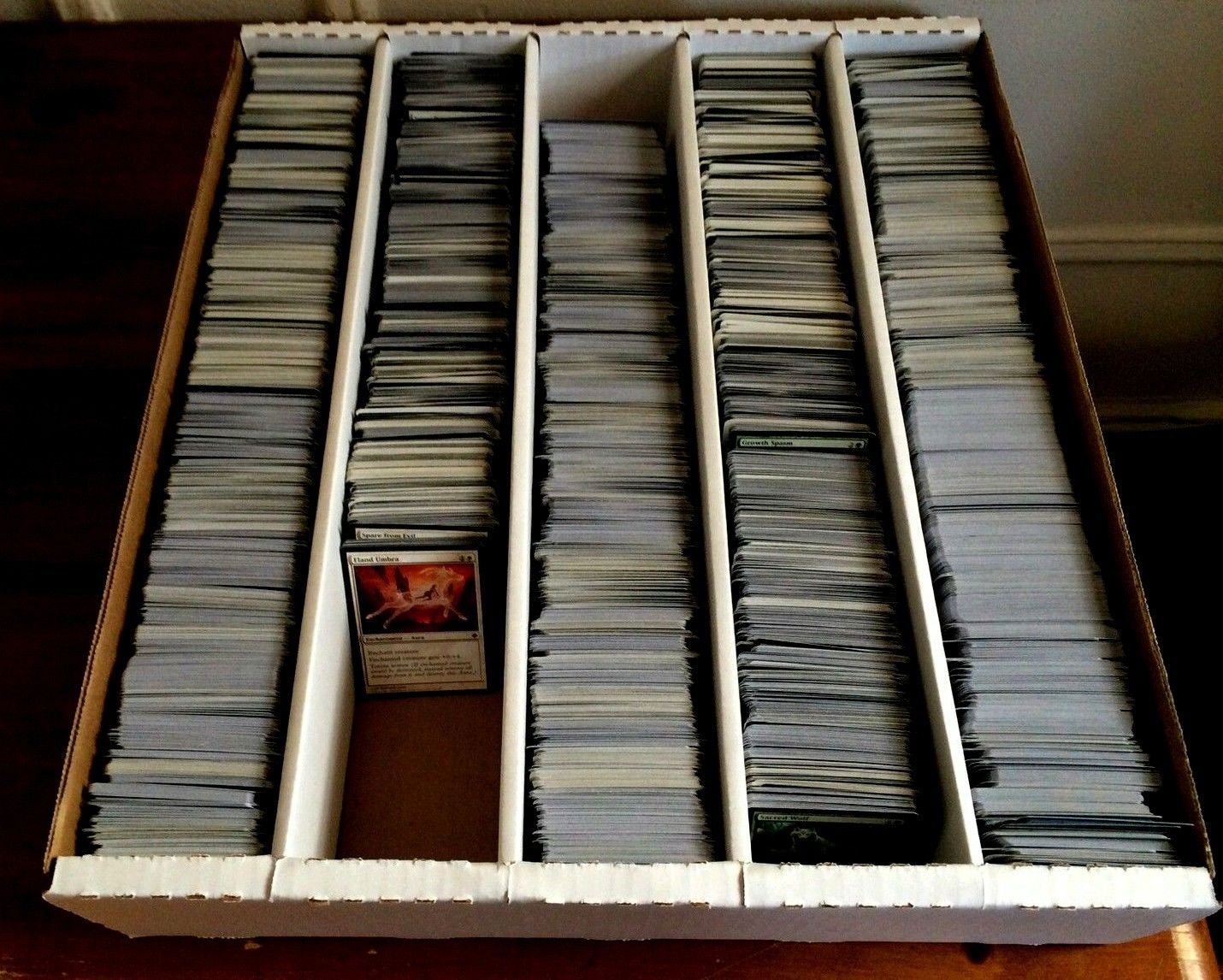 Massive 4000-Card Magic The Gathering MTG Collection - 100+ Rare, Uncommon & Common Cards with Potential Mythics | Bulk Lot for Deck Building, Trading & Collecting