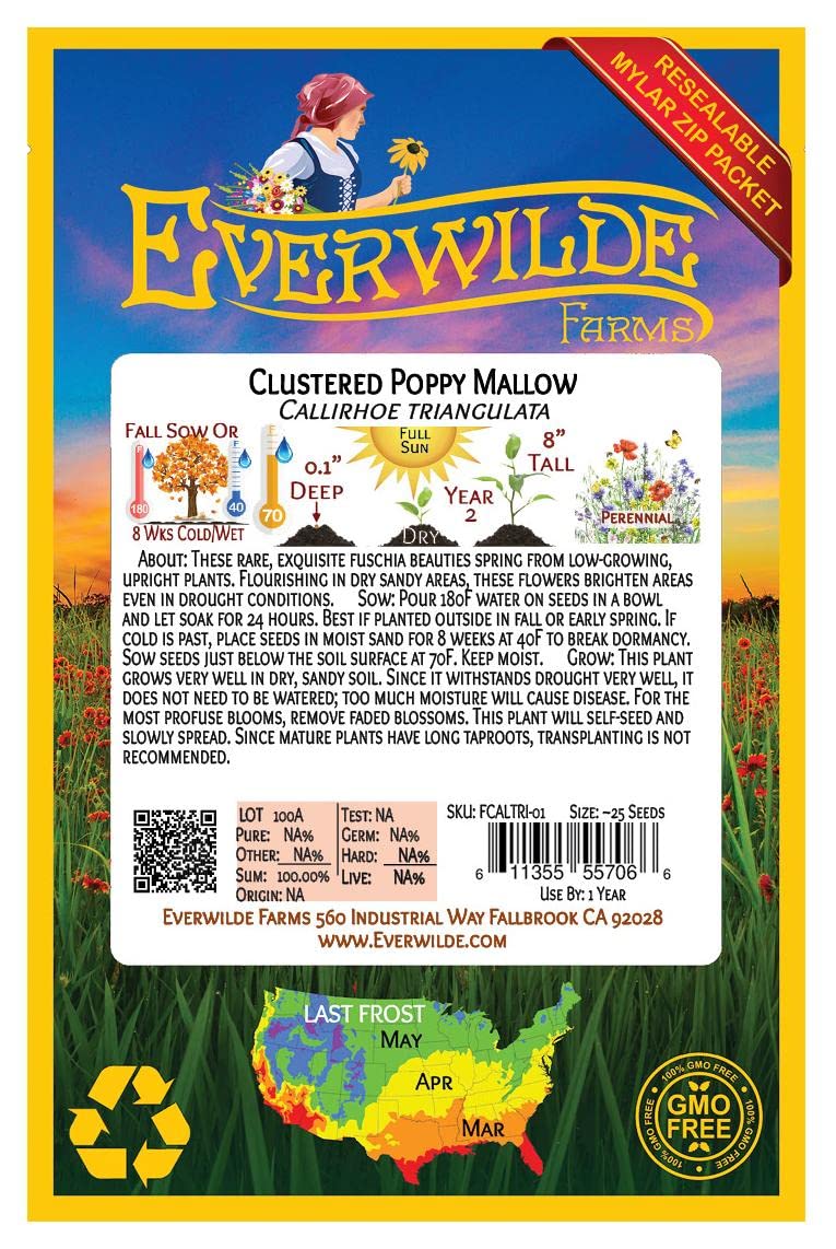 Everwilde Farms - 25 Clustered Poppy Mallow Native Wildflower Seeds - Gold Vault Seed Packet for Pollinator Gardens & Natural Landscaping