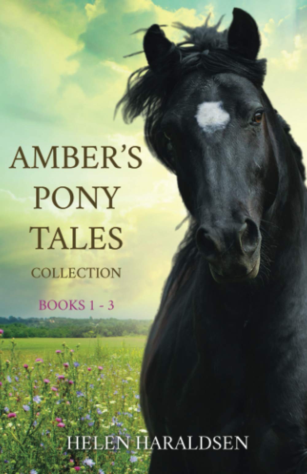 Amber's Pony Tales Collection: Books 1-3 | Children's Horse Story Series for Ages 6-10 | Perfect for Bedtime Reading & Young Equestrian Fans
