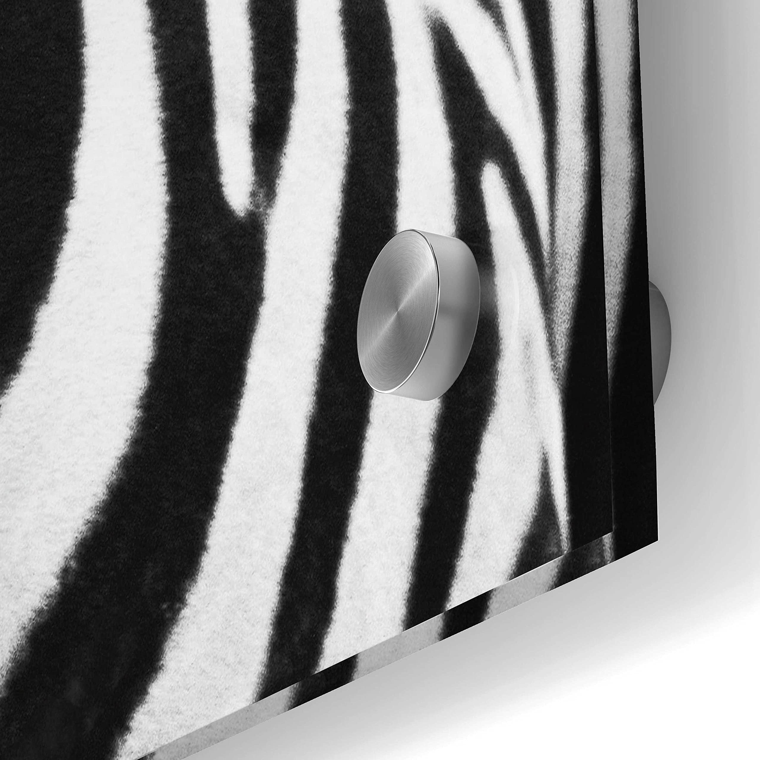 Debra Van Swearingen 'Zebra II' Acrylic Glass Wall Art - 24x36 Inches Modern Animal Print Painting for Living Room, Bedroom & Office Decor