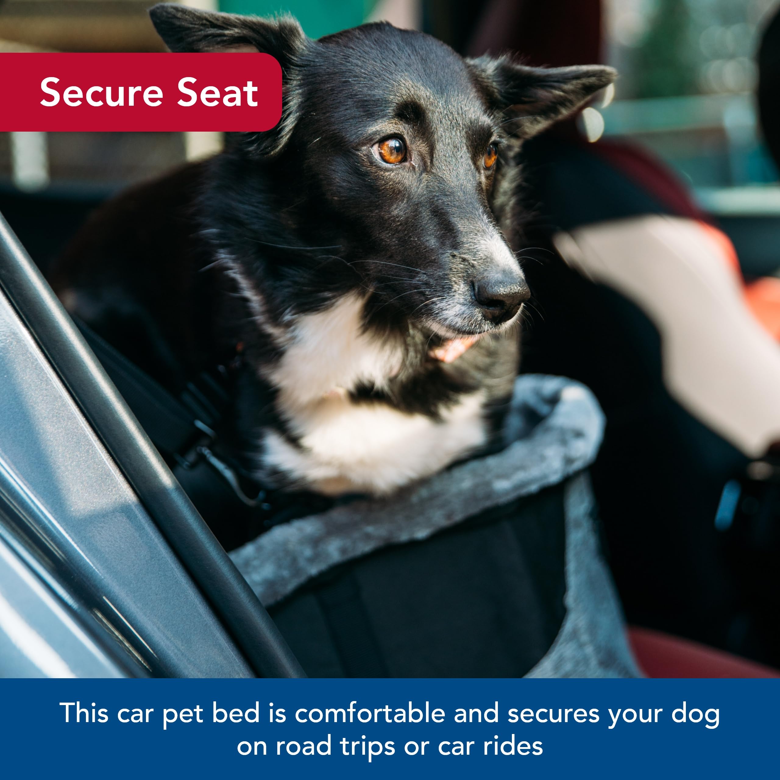 **Bergan Comfort Hanging Dog Booster Seat for Small Dogs Up to 30 lbs - Black - Perfect for Car Travel & Outdoor Adventures**