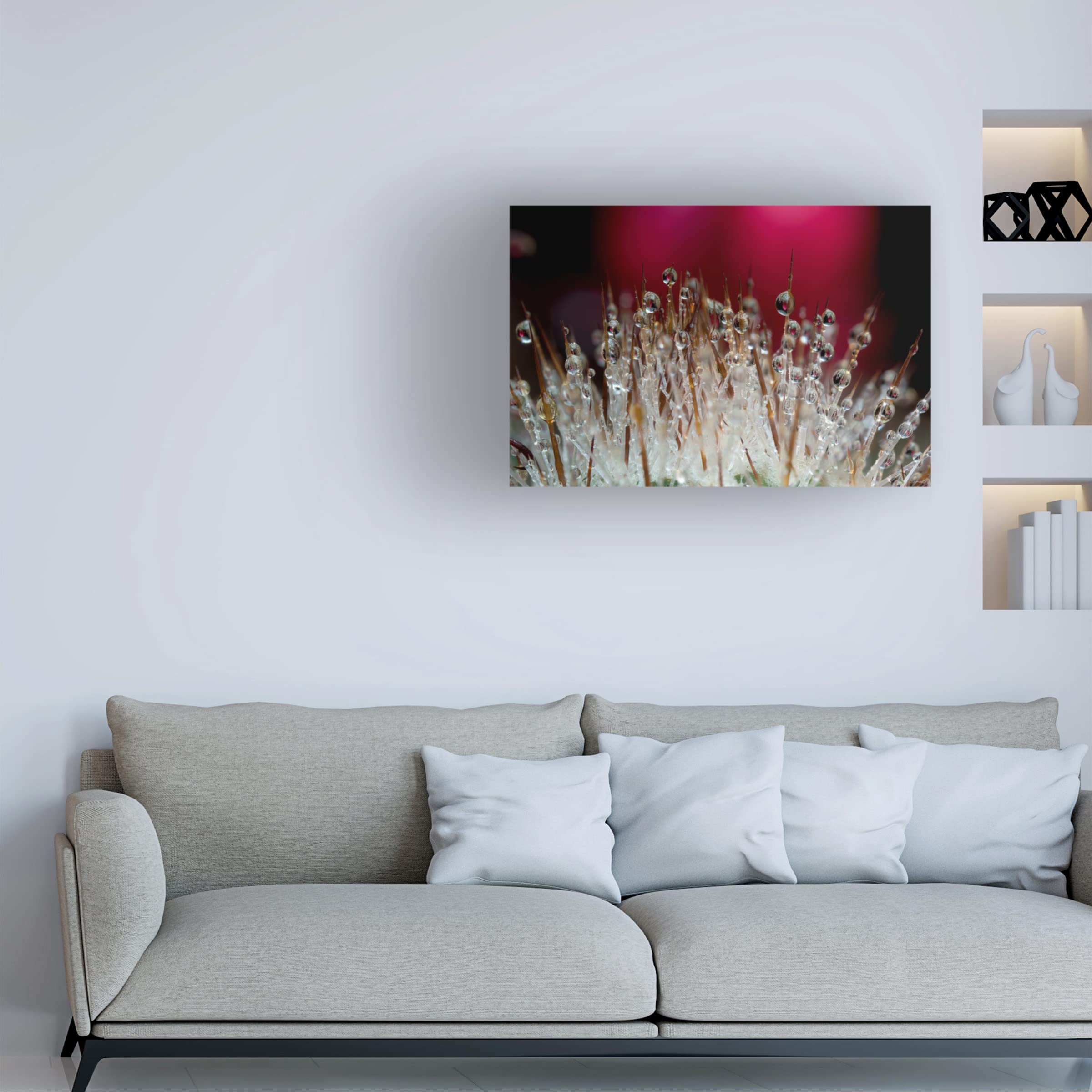 Gordon Semmens 'Cactus Flowers 07' Canvas Wall Art Print - 16x24 Inches - Modern Desert Botanical Decor for Living Room, Bedroom & Office