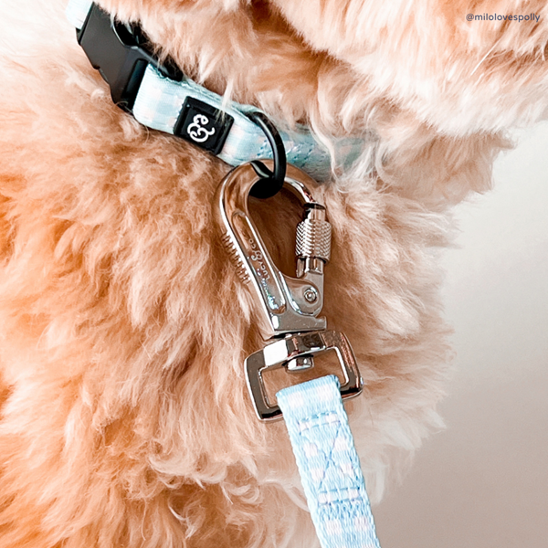 Lucy&Co Dog Collar - Adjustable Nylon Pet Collar with Metal Buckle for Small Medium Large Dogs - Perfect for Daily Walks, Training & Outdoor Adventures