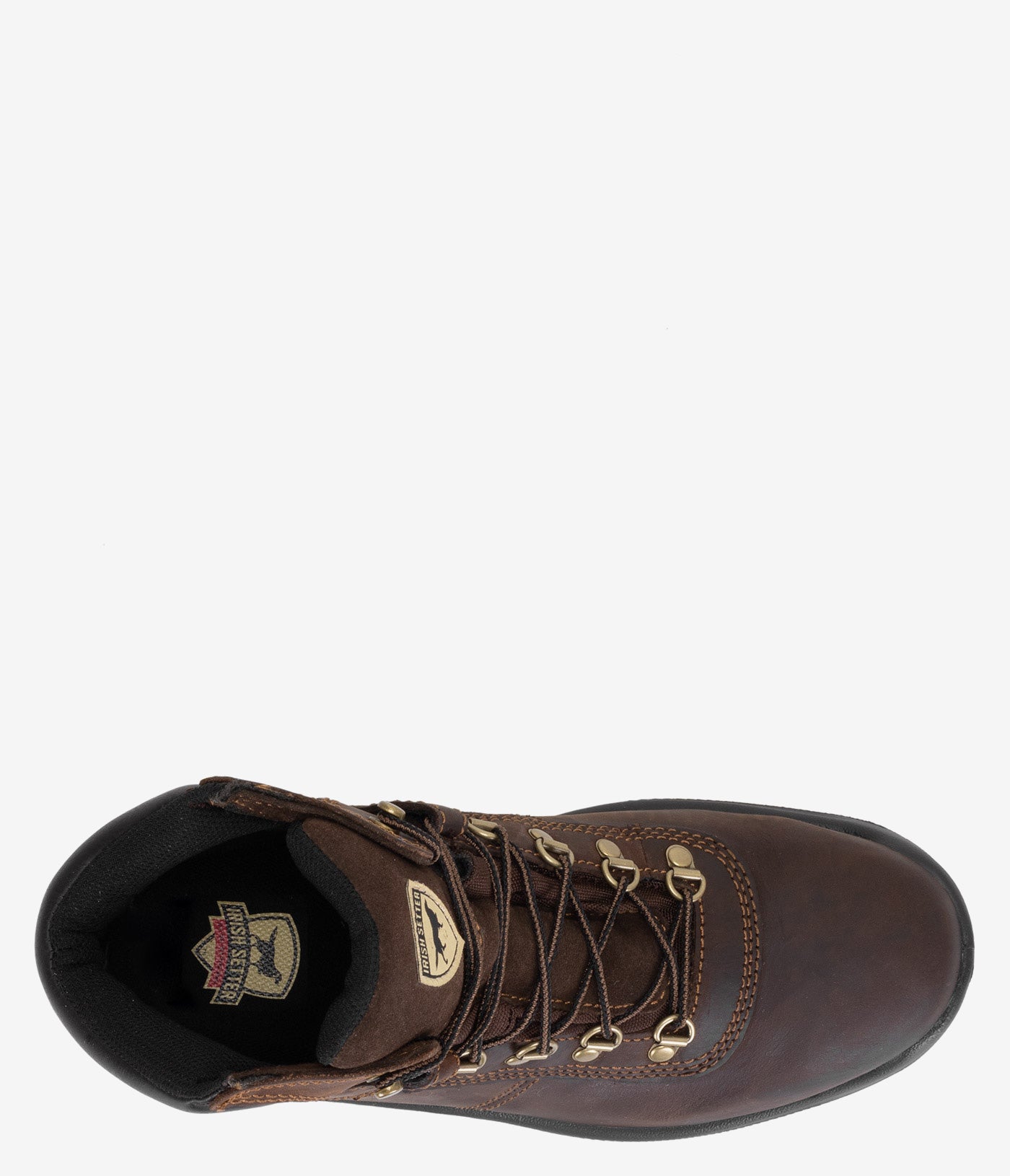 Irish Setter Ely 6