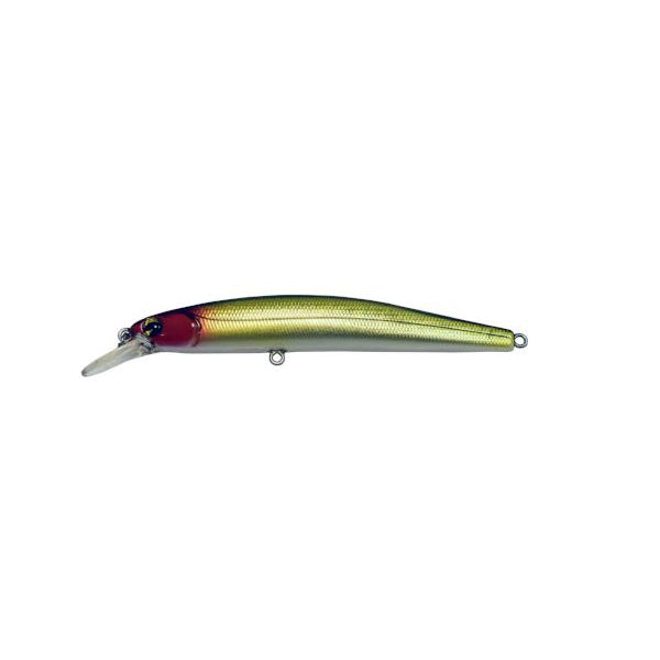 Sexy Minnow
