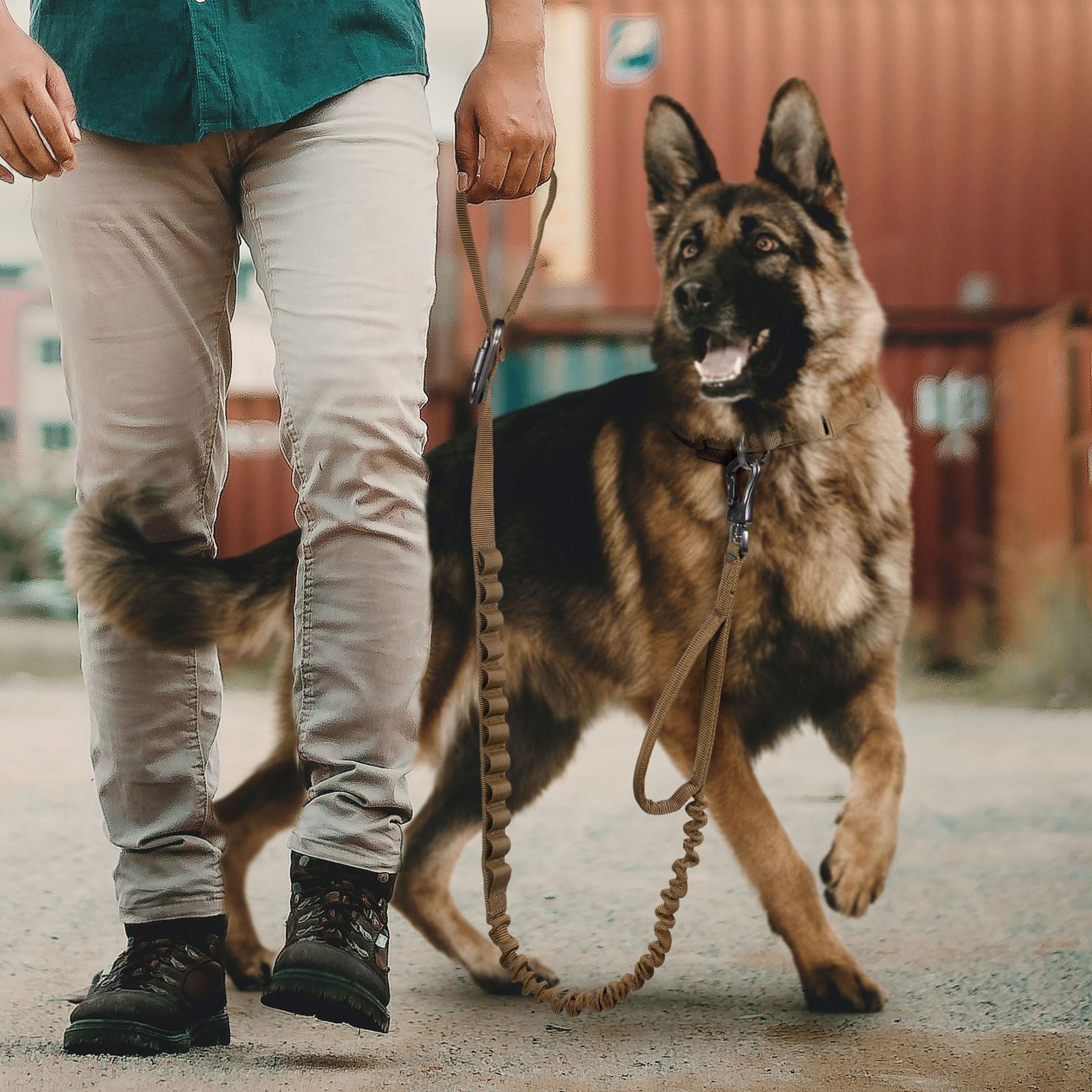 Military Dog Collar - 1.5