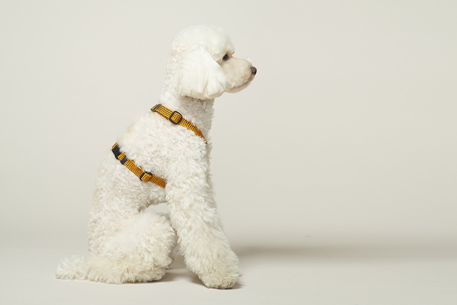 Premium No-Pull Dog Harness with Reflective Strips - Yellow Jacket for Small, Medium & Large Dogs - Perfect for Walking, Running & Outdoor Adventures