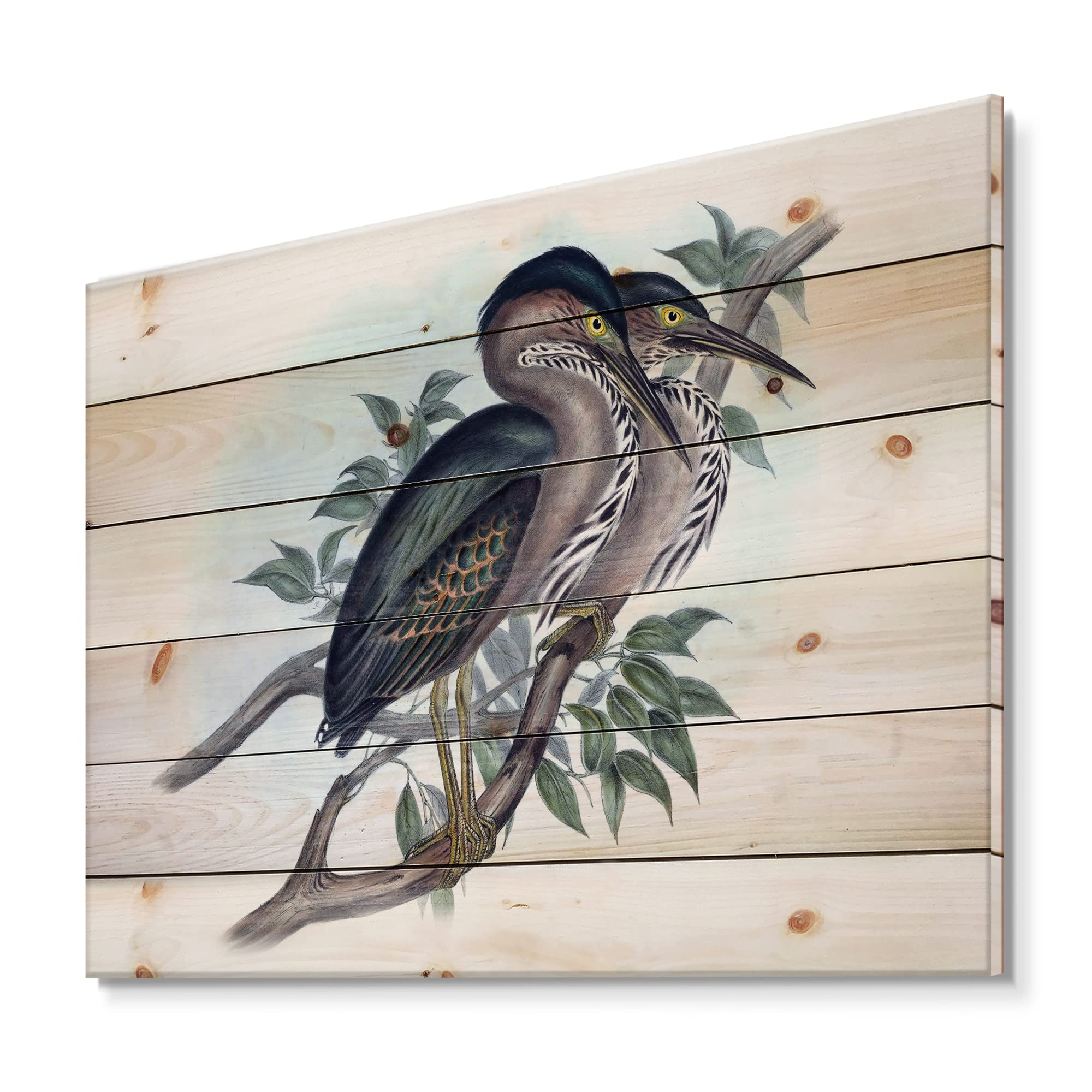 Vintage Australian Birds VII Traditional Wood Wall Art - Blue Wooden Wall Decor, Large Animal Wood Panels Printed on Natural Pine - Perfect for Living Room, Bedroom & Office Decor