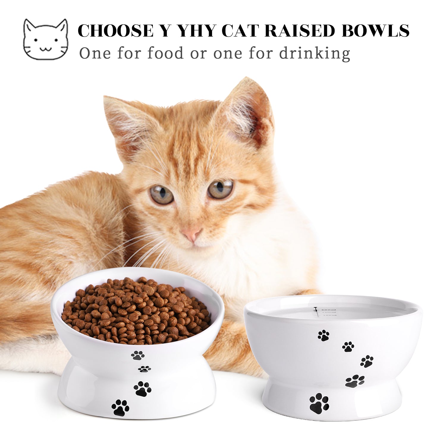 Premium Cat Food Bowls Set of 5 - Stainless Steel Elevated Pet Dishes with Non-Slip Base for Healthy Eating - Perfect for Kittens & Adult Cats at Home or Travel