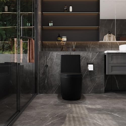 1.1/1.60 GPF Dual-Flush One-Piece Toilet - Water-Saving Elongated Comfort Height Floor-Mounted with Soft-Close Seat - 1000g MAP Flushing Score - Matte Black (23T01-MB-1) - Perfect for Modern Bathrooms & Water Conservation