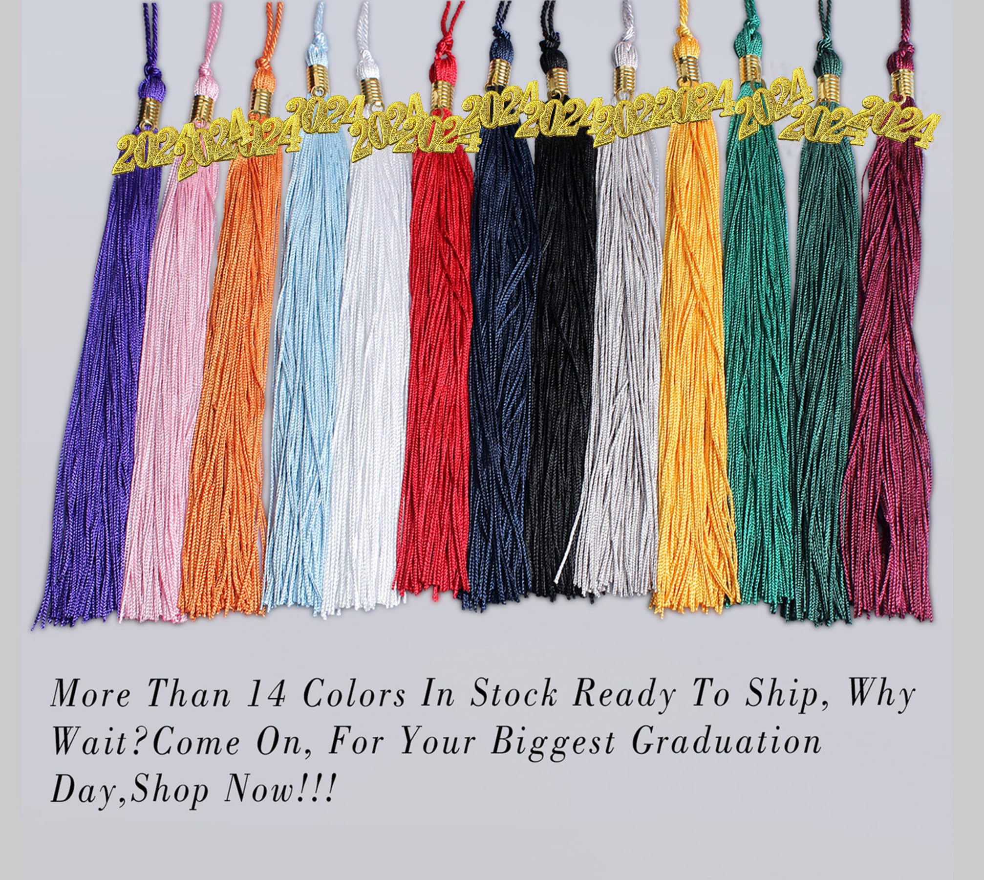 2025 Graduation Tassel with Gold Charms - Black Graduation Cap Tassel for High School & College Ceremonies - Perfect Graduation Accessory for 2025 Graduates