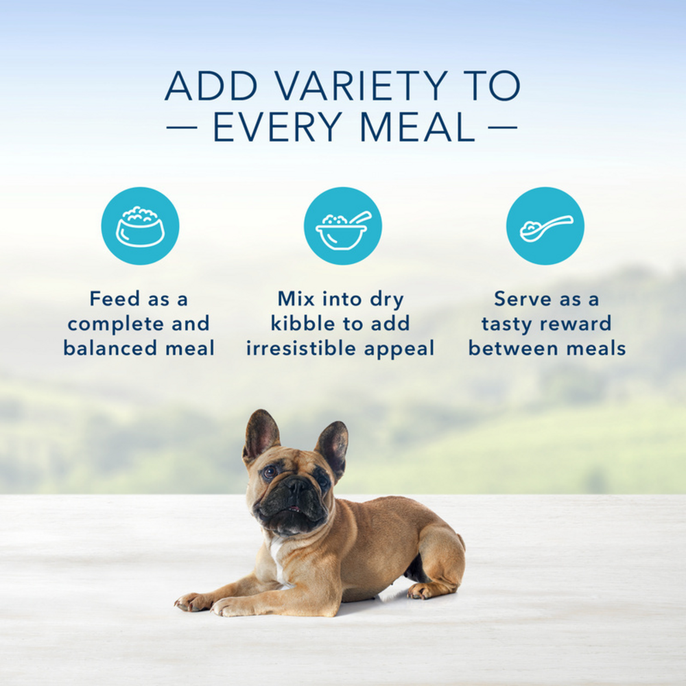 Blue Buffalo Homestyle Recipe Small Breed Adult Chicken Dinner with Garden Vegetables Canned Dog Food - Premium Wet Food for Small Dogs, High Protein & Natural Ingredients - Perfect for Mealtime, Training Treats & Senior Dogs