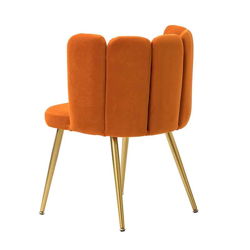 Elodia Side Chair - Modern Accent Chair for Dining Room, Living Room & Office - Sturdy Wooden Frame with Upholstered Seat - Perfect for Home Decor & Small Spaces