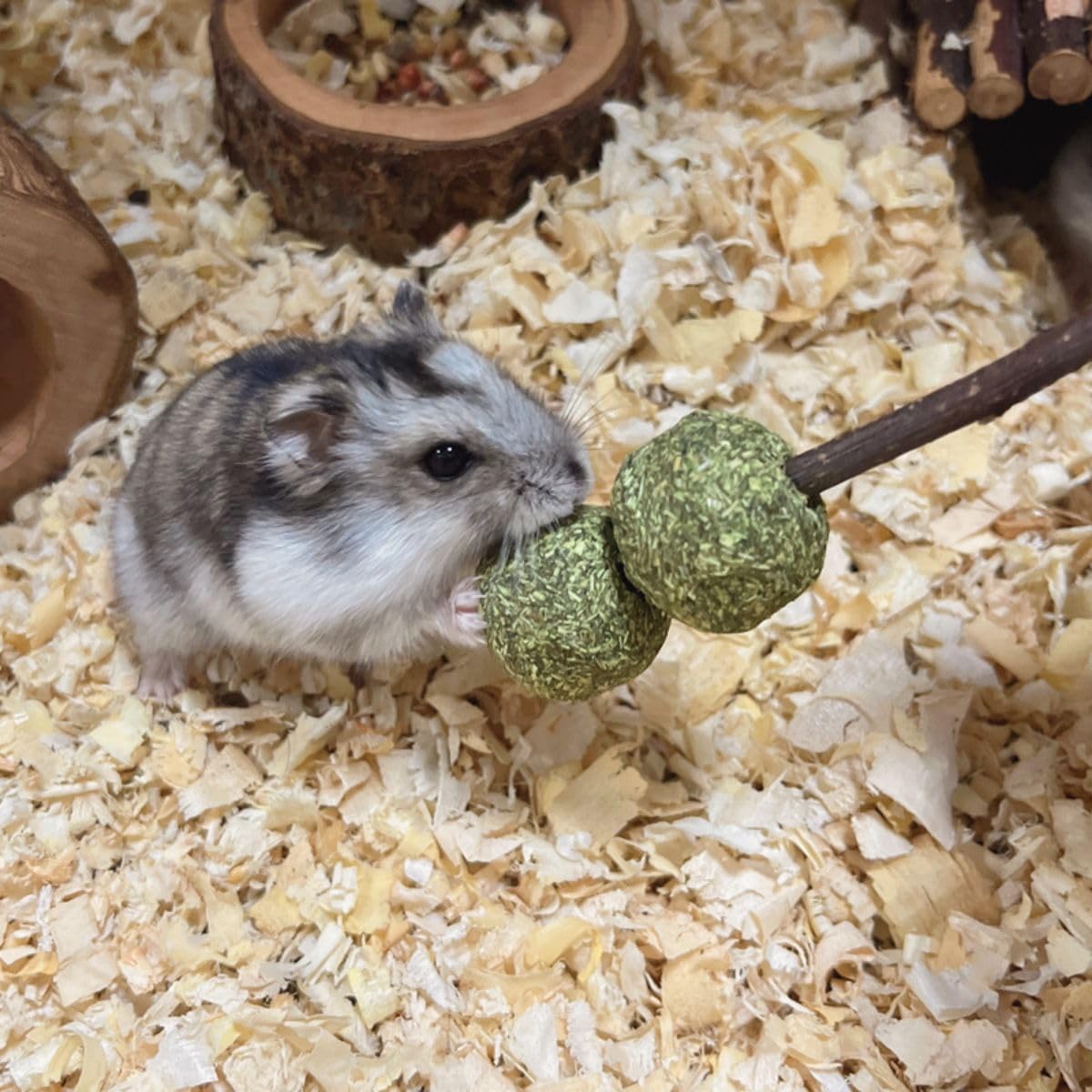 12PCS Natural Rabbit Chew Toys for Teeth - Apple Wood Sticks, Alfalfa Grass Balls & Molar Bars for Chinchillas, Guinea Pigs & Small Pets | Small Animal Dental Care & Stress Relief Toys for Cages, Playtime & Enrichment Activities