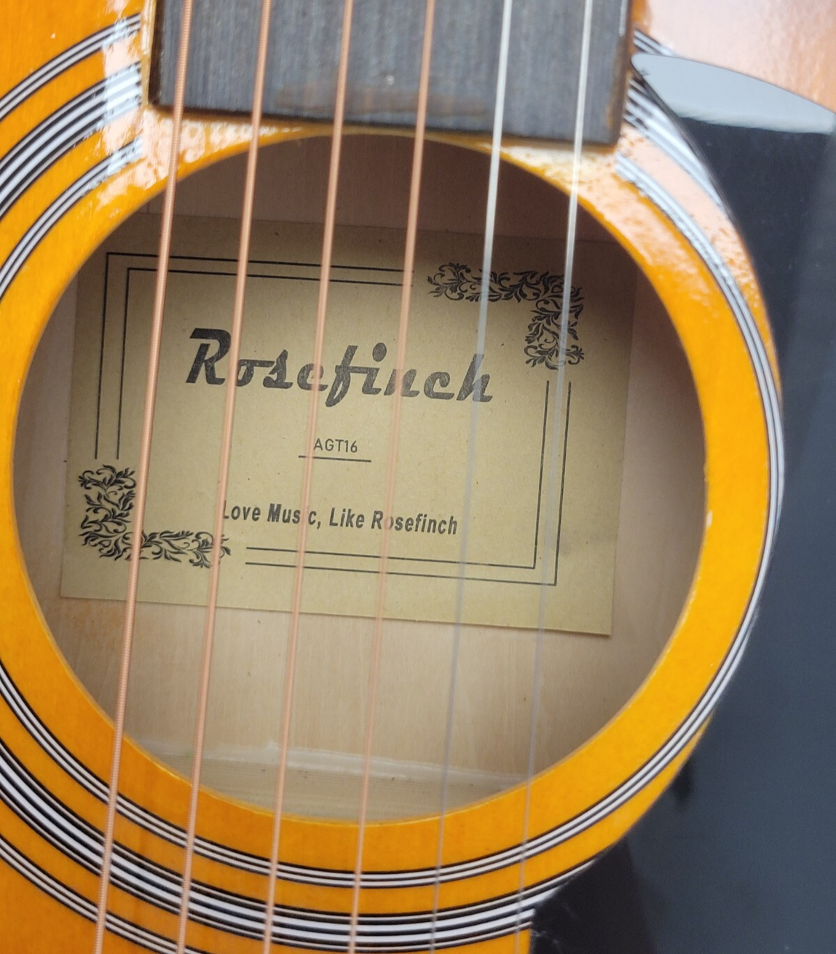 AGI16 Rosefinch Guitar - Professional Acoustic Electric Guitar for Beginners & Intermediate Players - Perfect for Home Practice, Live Performances & Studio Recording