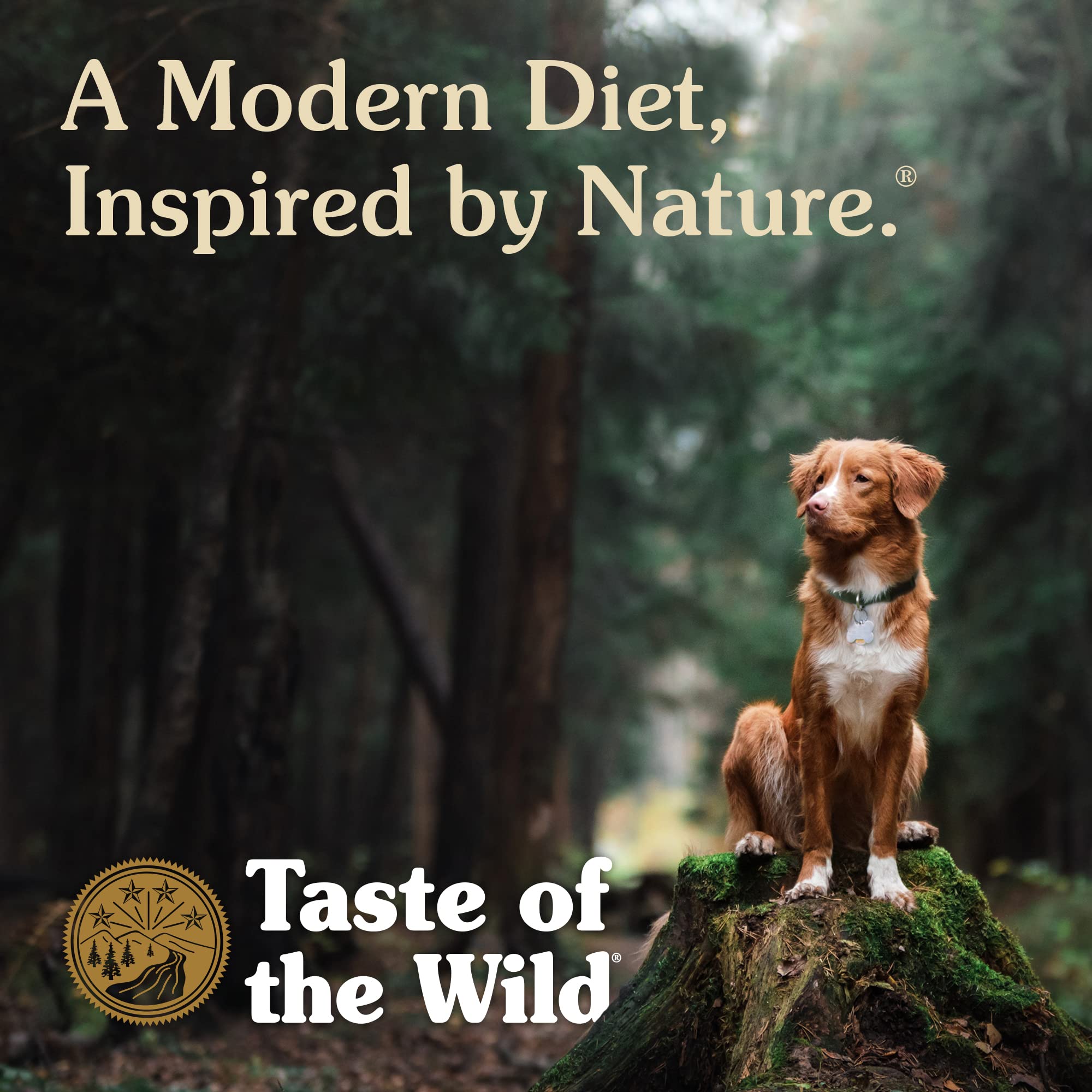 Taste of the Wild Ancient Grains High Protein Dry Dog Food - Roasted Bison & Venison Recipe with Probiotics, 28lb Bag | Premium Nutrition for Active Dogs, Perfect for Outdoor Adventures & Daily Feeding
