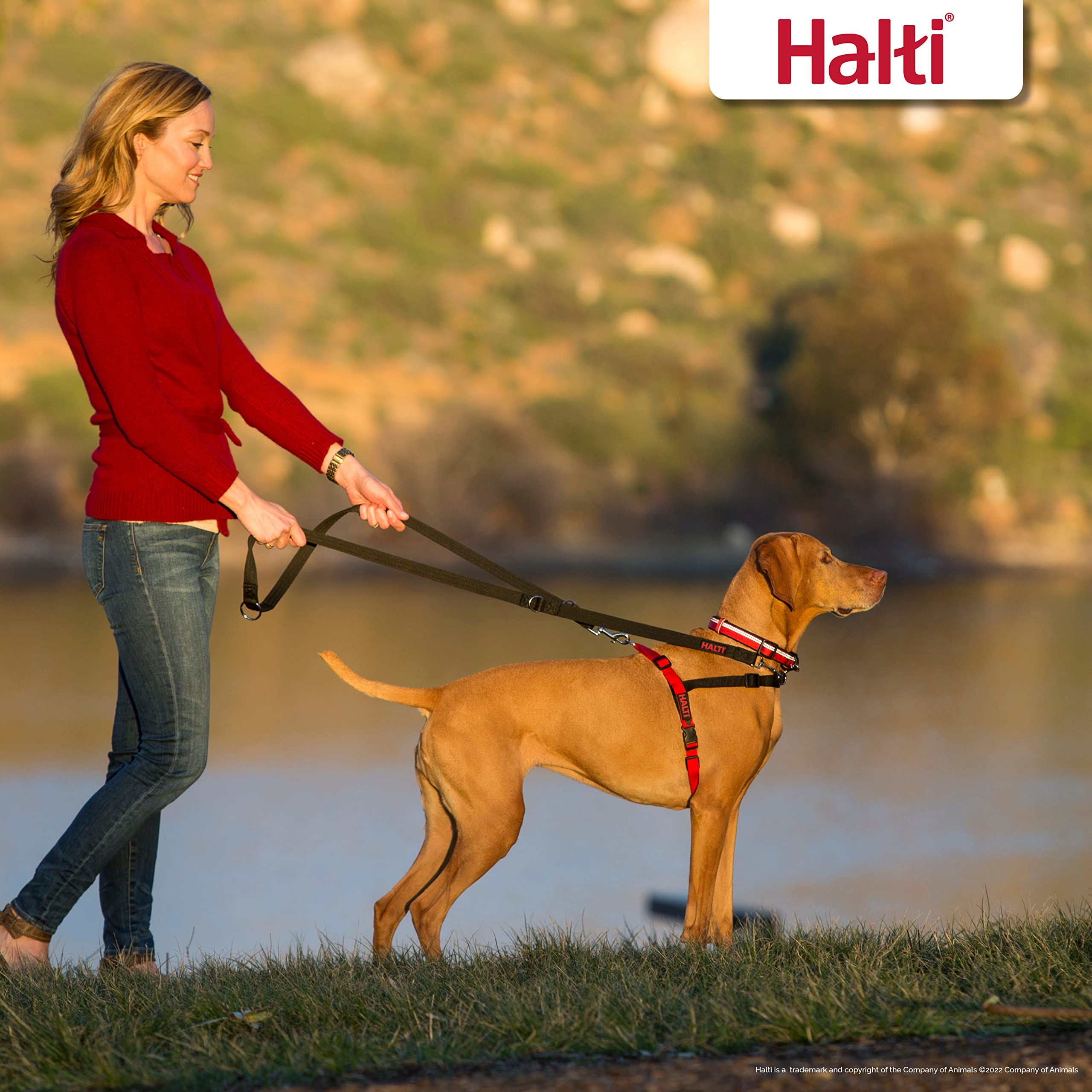HALTI Front Control Dog Harness & Training Leash Set for Large Dogs - Adjustable No-Pull Solution, Lightweight & Easy to Use (Black) - Perfect for Walking, Running and Obedience Training