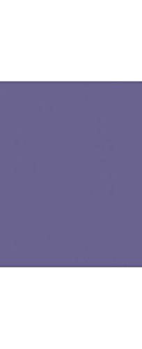 LUXPaper 11x17 Tabloid Size Cardstock - Wisteria Purple 100lb Cover (1000 Sheets) | Premium Heavyweight Paper for Scrapbooking, Invitations & Craft Projects
