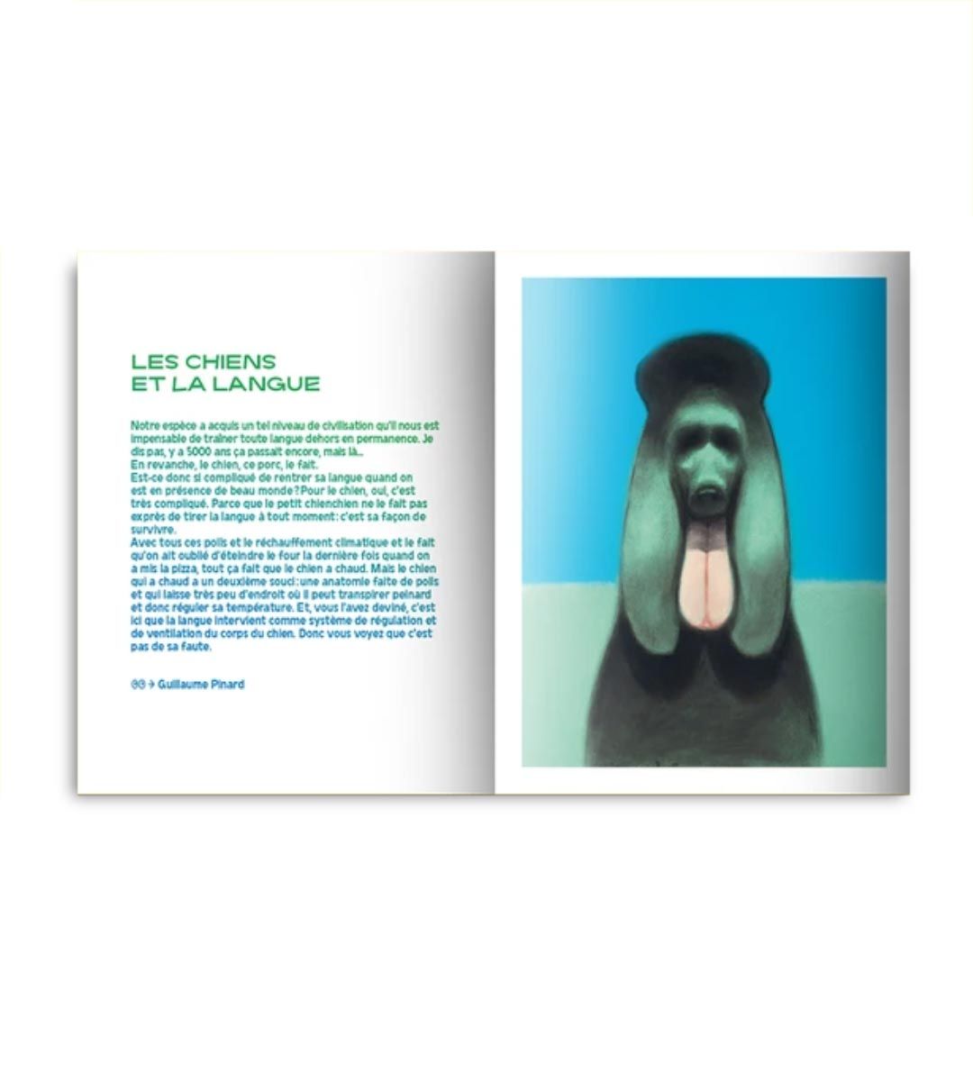 Kiblind Picture Book: Dogs - Educational Animal Learning for Kids, Perfect for Preschool & Homeschooling