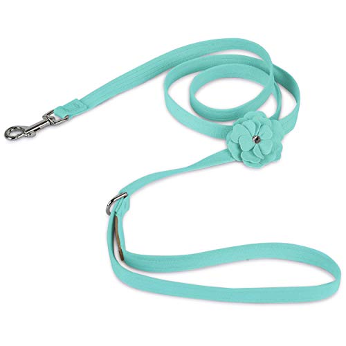 Tiffi Blue