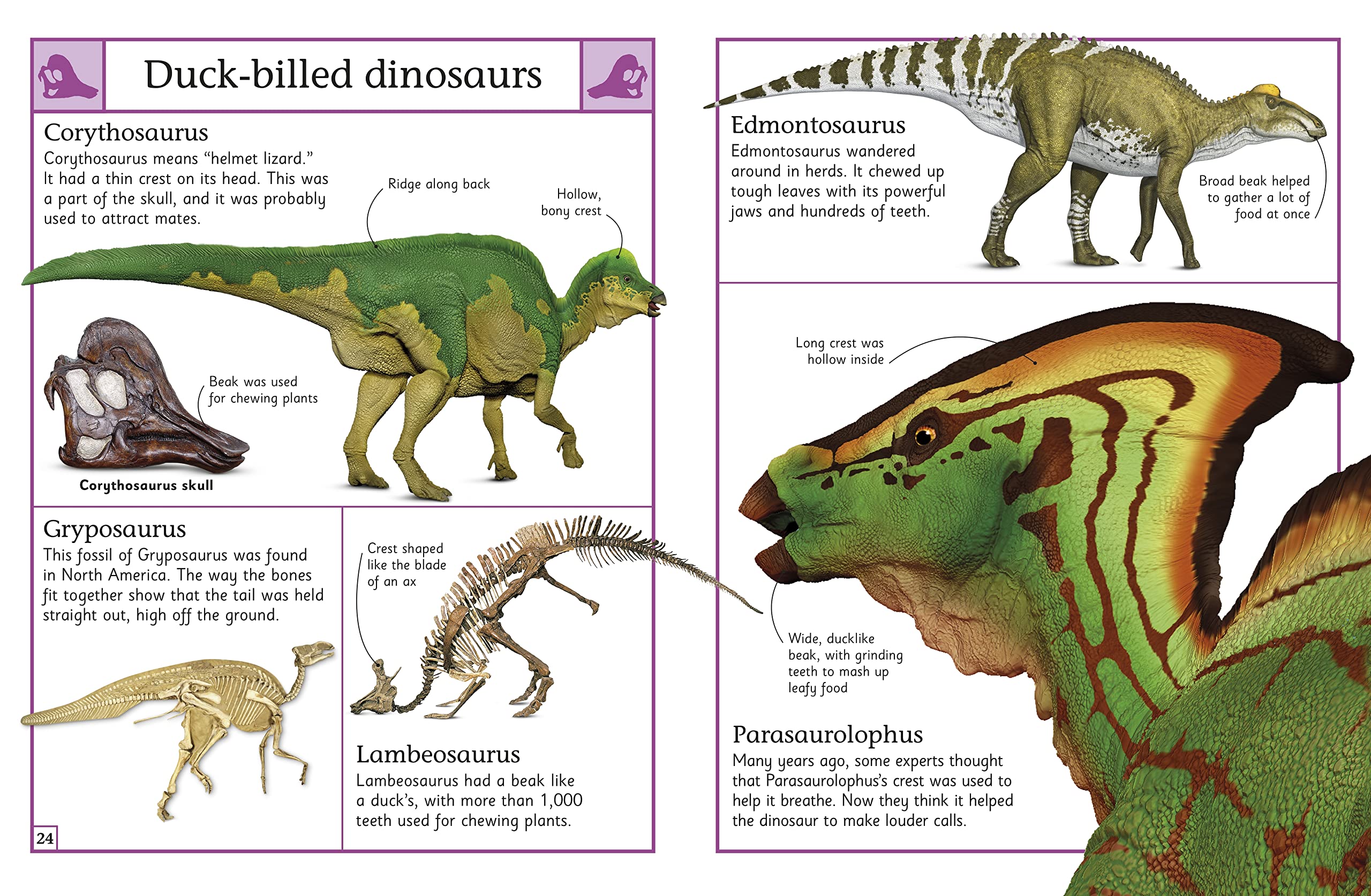 **The Big Book of Dinosaurs – DK Big Books | Kids Educational Dinosaur Encyclopedia | Perfect for Learning, Gifts & Classroom Activities**