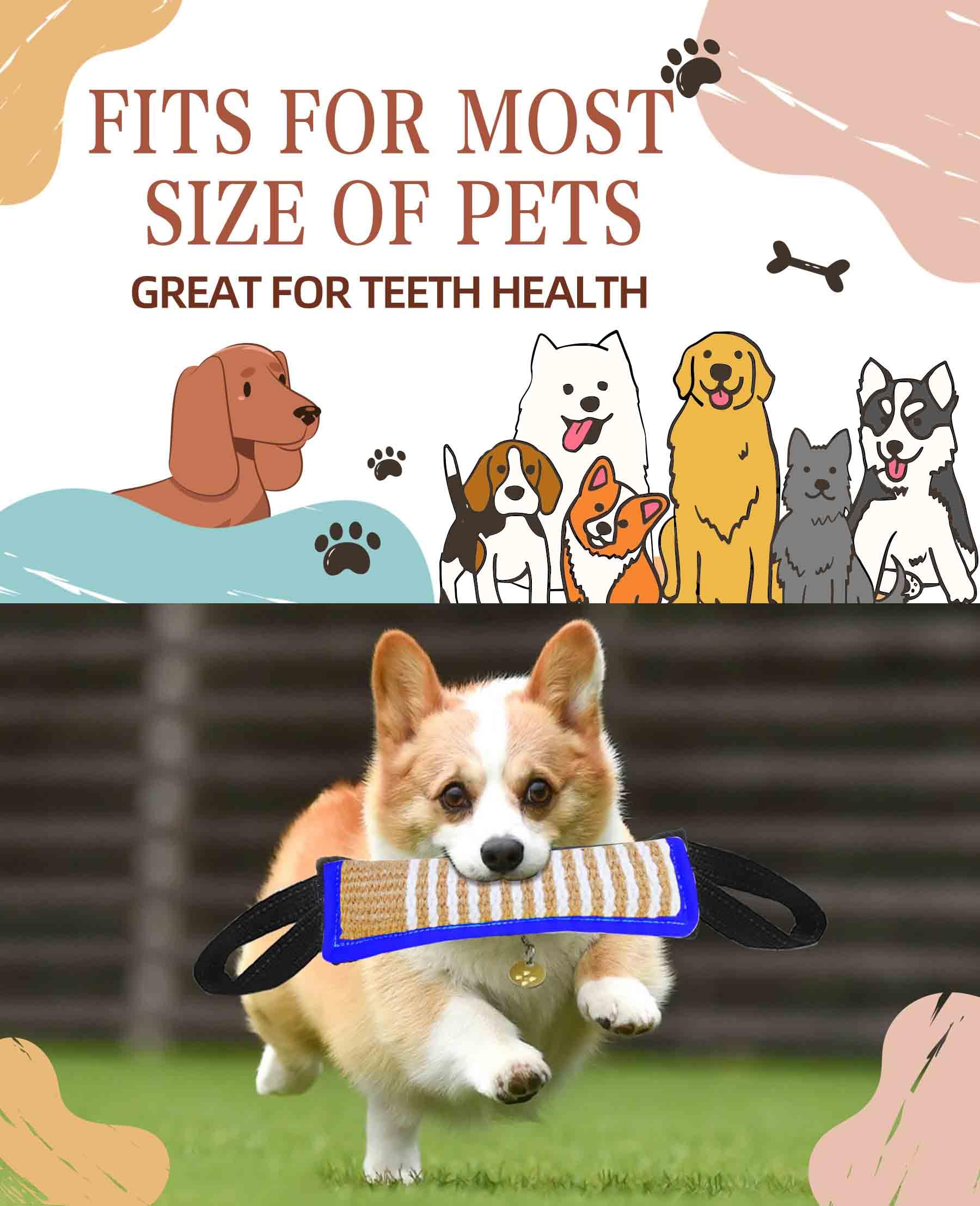 Durable Jute Tug Toy for Dogs - Bite Resistant Interactive Training Pillow with 2 Strong Handles for Puppy to Large Dogs | Perfect for Playtime, Obedience Training & Bonding with Your Pet