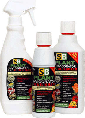 SB Invigorator - Premium Energy Booster for Active Lifestyles | Workout, Sports & Daily Performance Enhancer