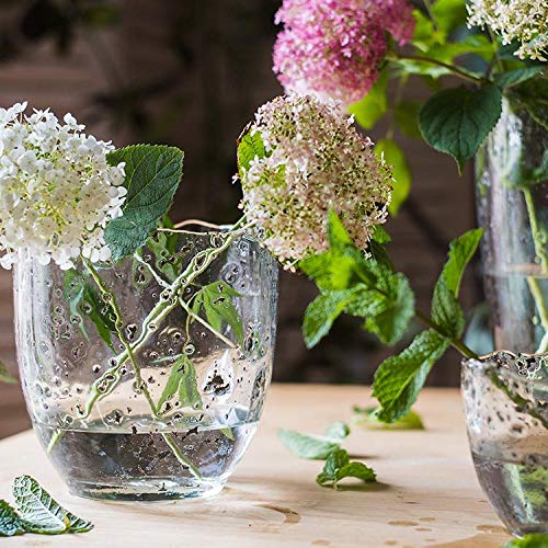 RusticReach Clear Art Glass Vase - Handcrafted Modern Home Decor for Flowers, Centerpieces & Wedding Decorations - Perfect for Living Room, Dining Table & Event Styling