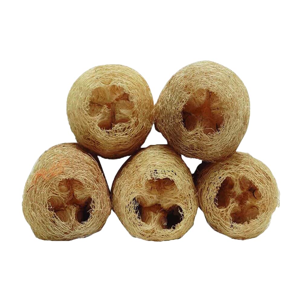 **Natural Loofah Sponge Body Scrubber - 5-Pack Organic Exfoliating Bath Sponge for Women & Men | Eco-Friendly Ridge Gourd Scrubber for Smooth Skin | Perfect for Shower, Spa, and Daily Skincare Routine**