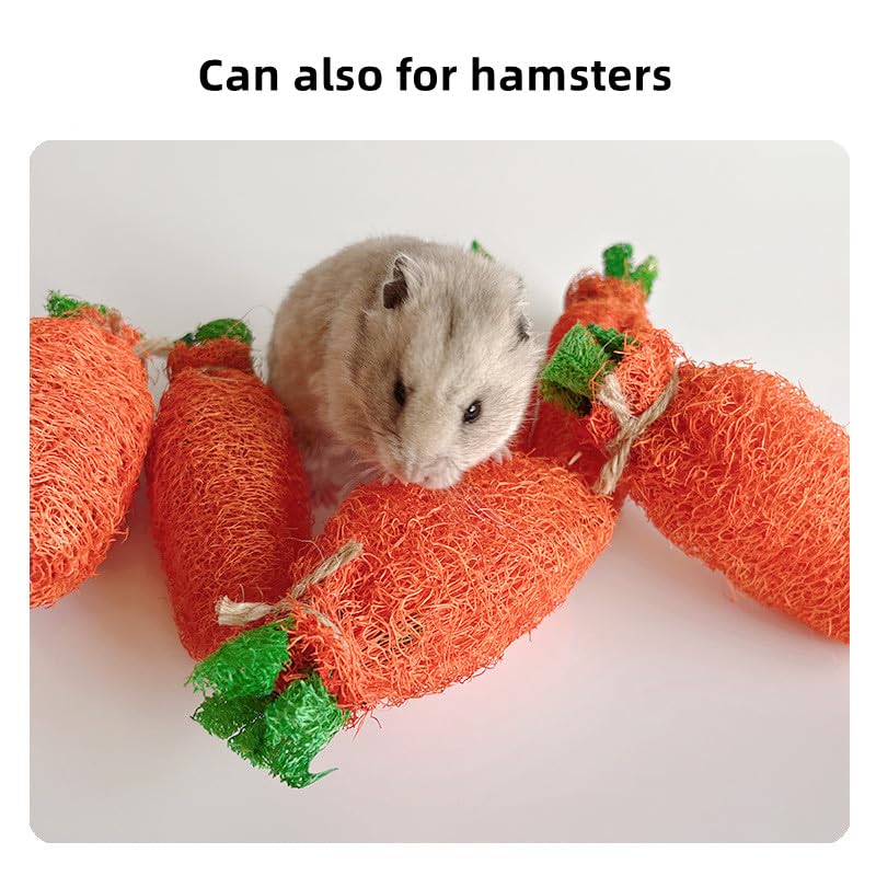 Natural Loofah Rabbit Chew Toys for Small Animals - 2 Pack Dental Treats for Teeth Grinding - Perfect for Bunnies, Guinea Pigs & Hamsters - Promotes Healthy Teeth & Stress Relief