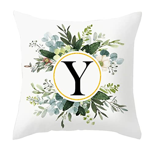 Y