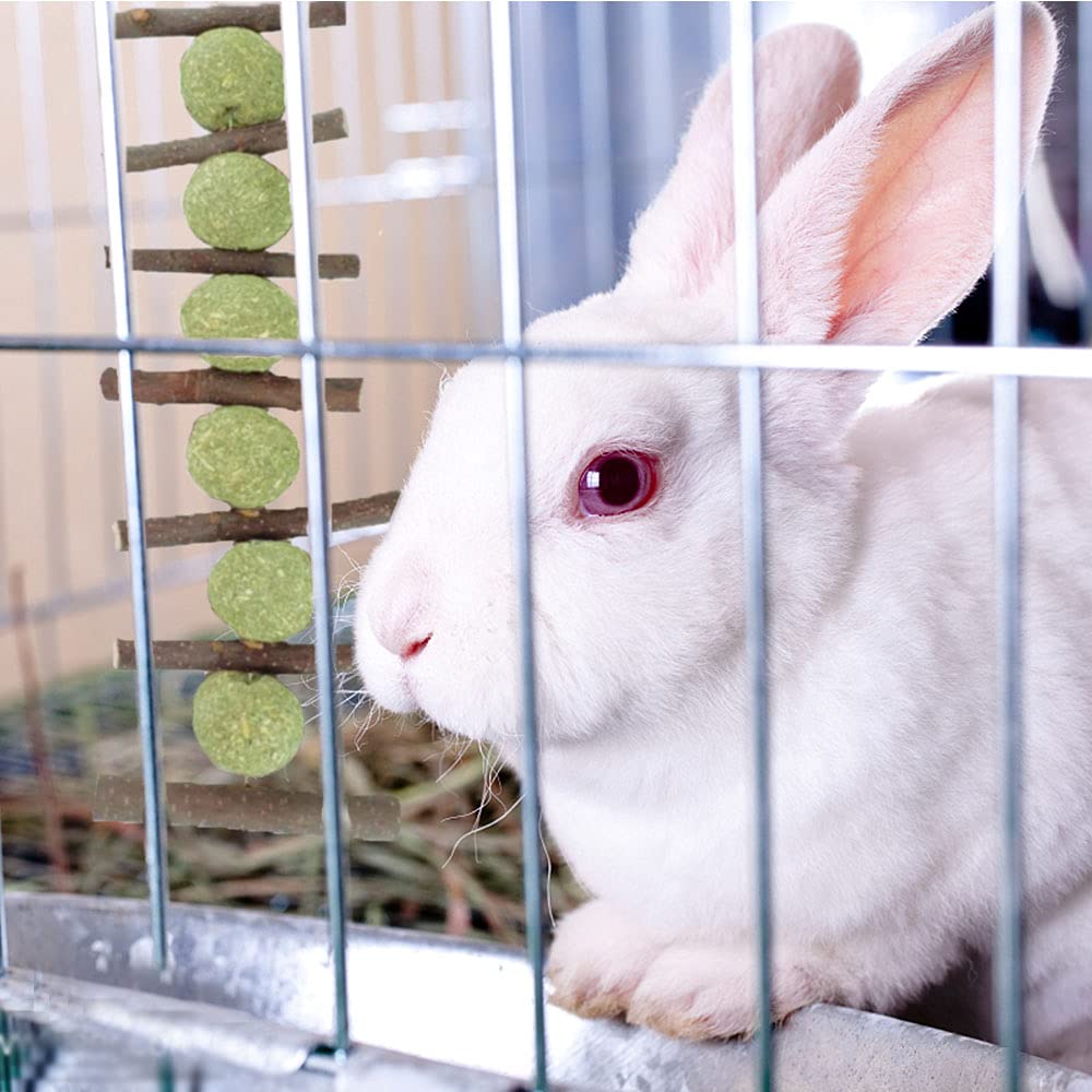 Natural Apple Wood Rabbit Chew Toys for Teeth Care - Safe Bunny Chinchilla Hamster Chewing Supplies Set for Small Pets | Perfect for Cage Enrichment, Dental Health & Playtime Exercise