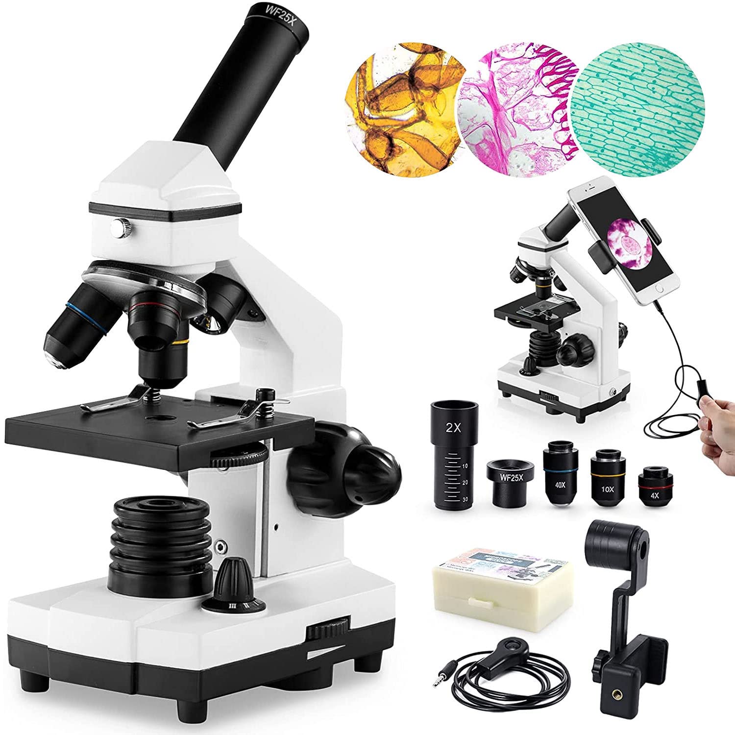 100X-2000X High Power Microscope for Kids, Students & Adults - Professional Biological Compound Microscope with Prepared Slides Set - Perfect for School Labs, Home Science Education & STEM Learning Projects