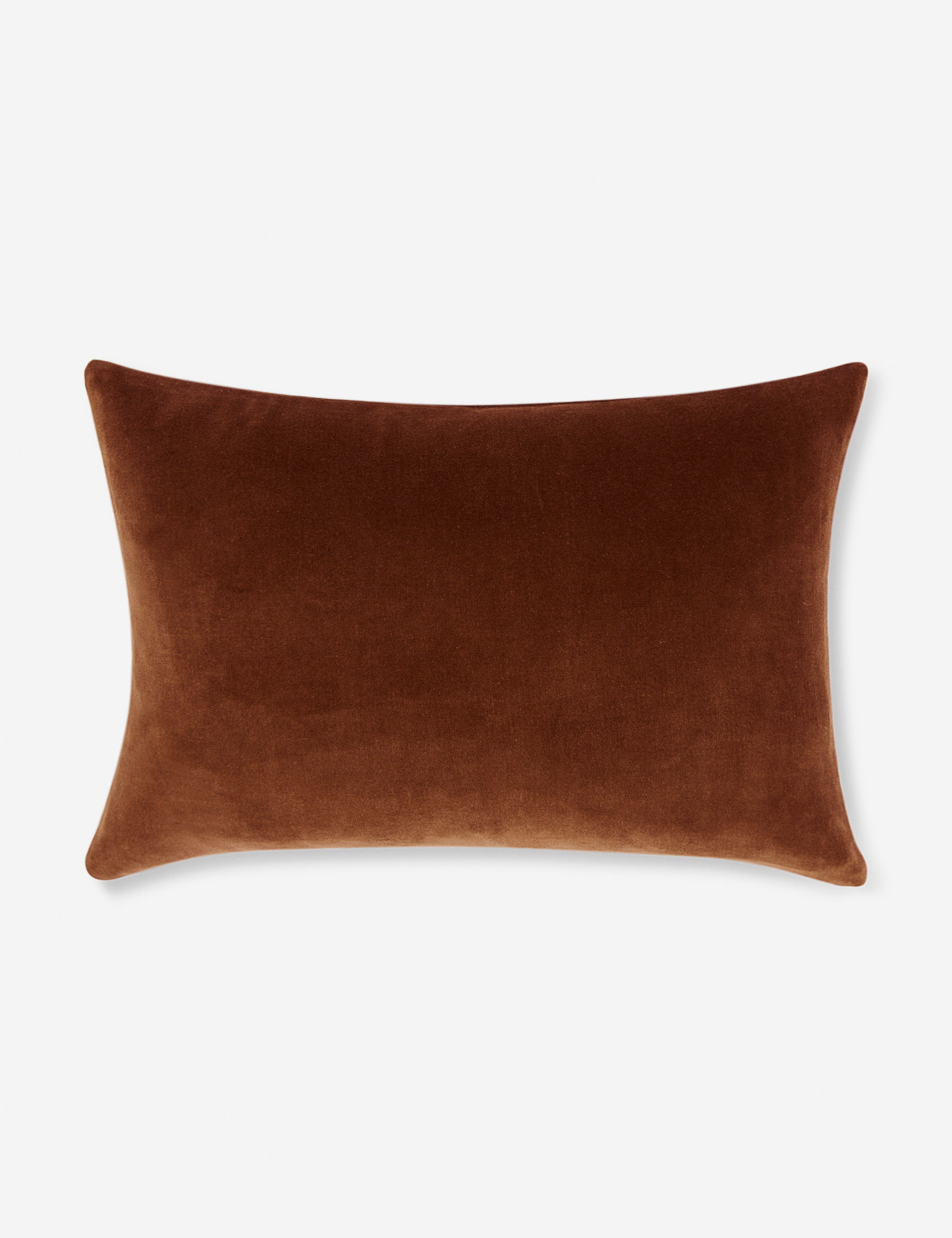 Charlotte Velvet Pillow - Soft Luxury Decorative Throw Pillow for Sofa, Bed & Couch - Perfect for Living Room, Bedroom & Home Decor