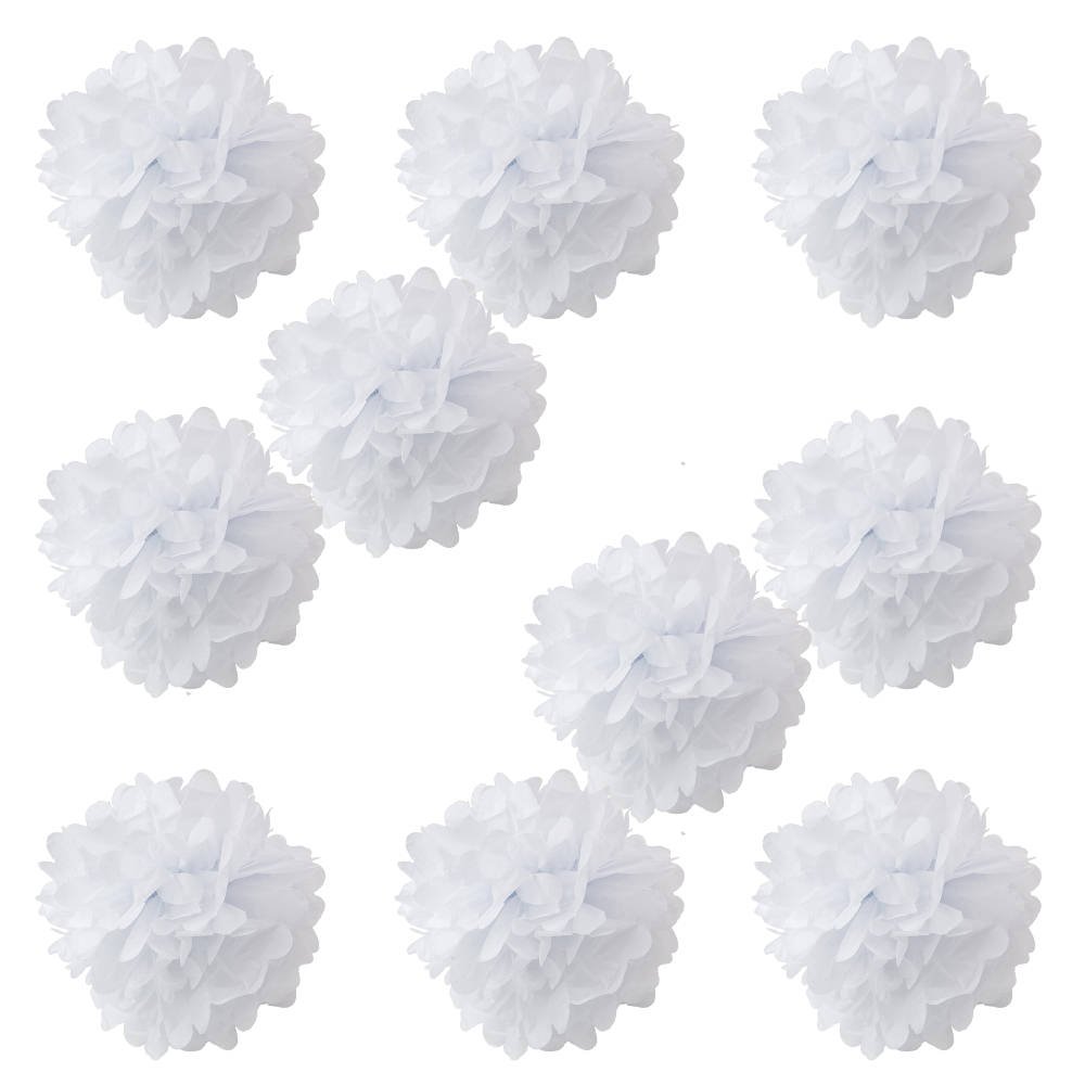 WYZworks 10-Pack White 16
