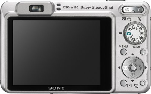 Sony Cybershot DSCW170 10.1MP Digital Camera with 5x Optical Zoom & Super Steady Shot - Silver | Compact Digital Camera for Travel, Family Events & Everyday Photography