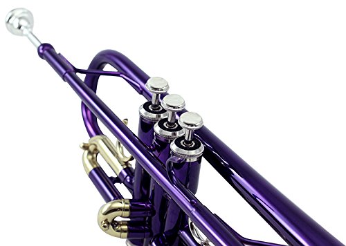 Sky Band Approved Orchid Purple Lacquer Brass Bb Trumpet with Case, Cleaning Cloth, Gloves & Valve Oil - Professional Brass Instrument for Beginners & Students - Perfect for School Bands, Jazz Ensembles & Solo Performances