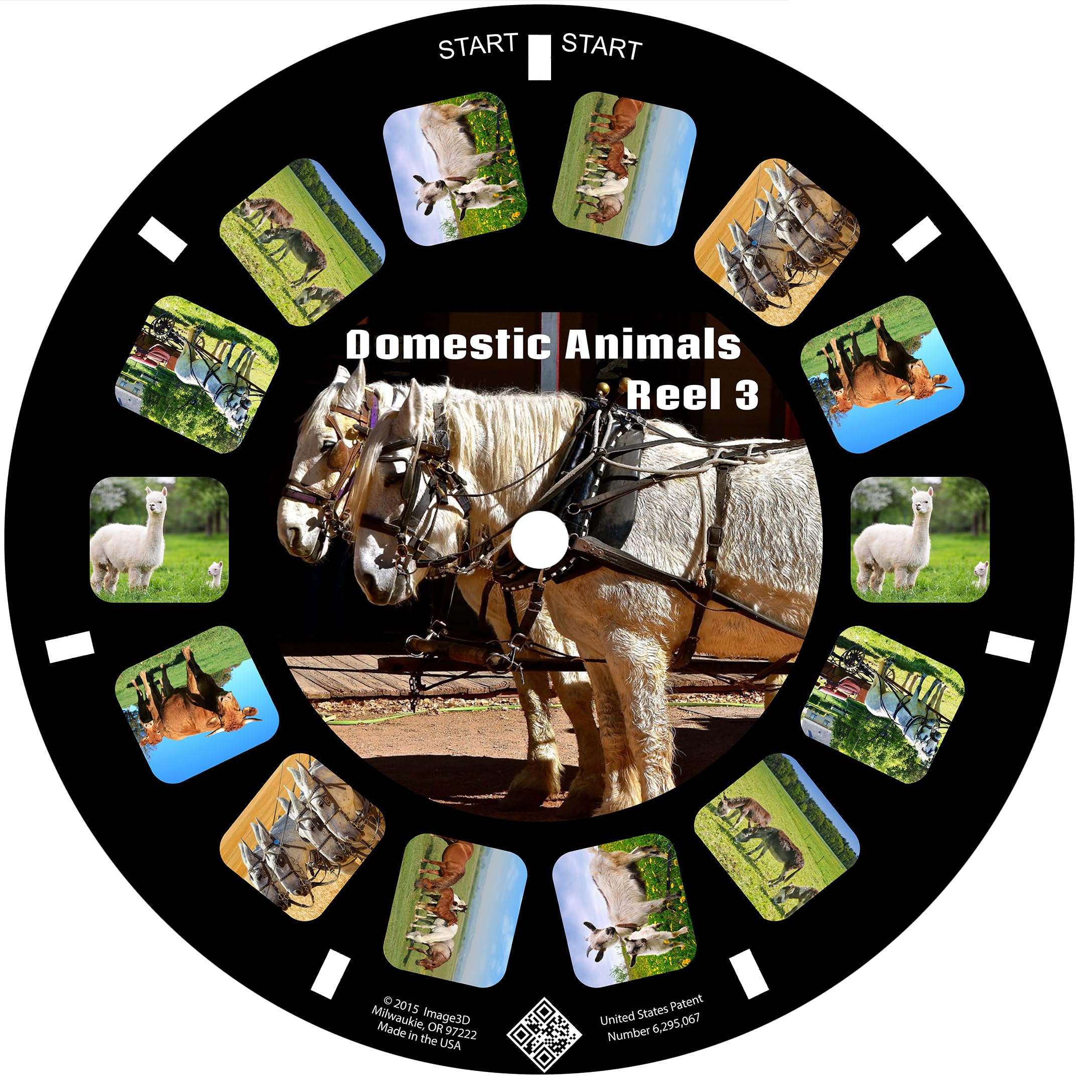 MayKo Farm Animal View-Master Reels - 3-Pack Compatible with Classic Viewers | Domestic Animals & Wildlife Educational Toy for Kids | Perfect for Storytelling, Learning, and Family Entertainment