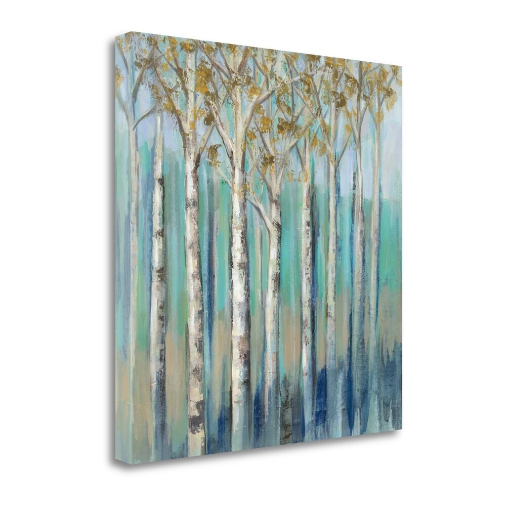 Birches At Dawn By Silvia Vassileva - Premium Giclee Art Print on Gallery Wrapped Canvas, Framed & Ready to Hang - Perfect for Living Room, Bedroom or Office Wall Decor