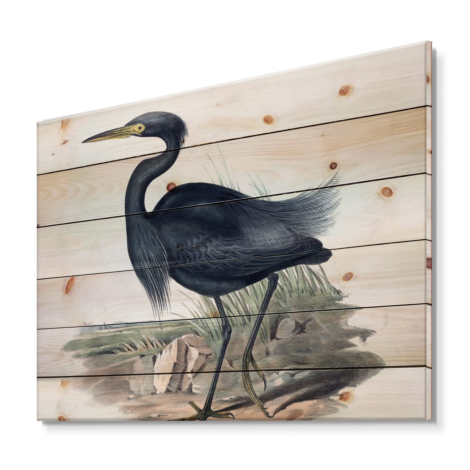 Vintage Australian Birds III Traditional Wood Wall Art - Blue Wooden Wall Decor, Large Animal Wood Panels Printed on Natural Pine - Perfect for Living Room, Bedroom & Office Decor