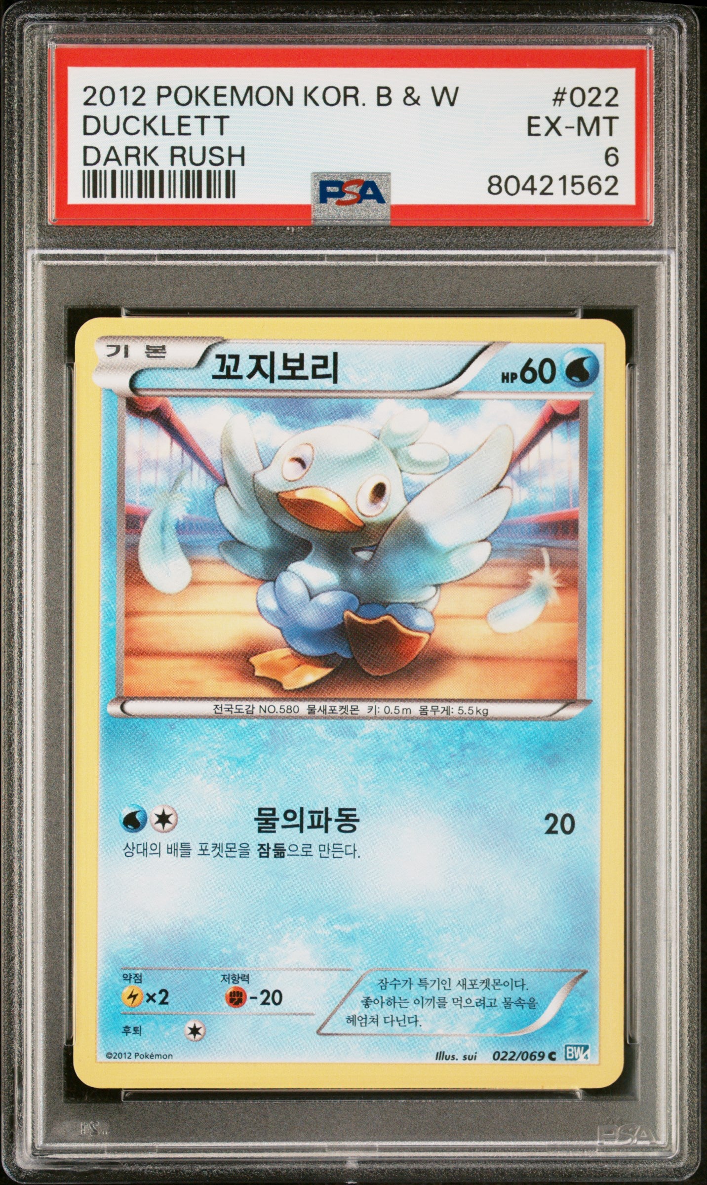 2012 Pokemon Korean Black & White Dark Rush Ducklett #22 PSA 6 Graded Card - Perfect for Collectors & Pokemon TCG Battles