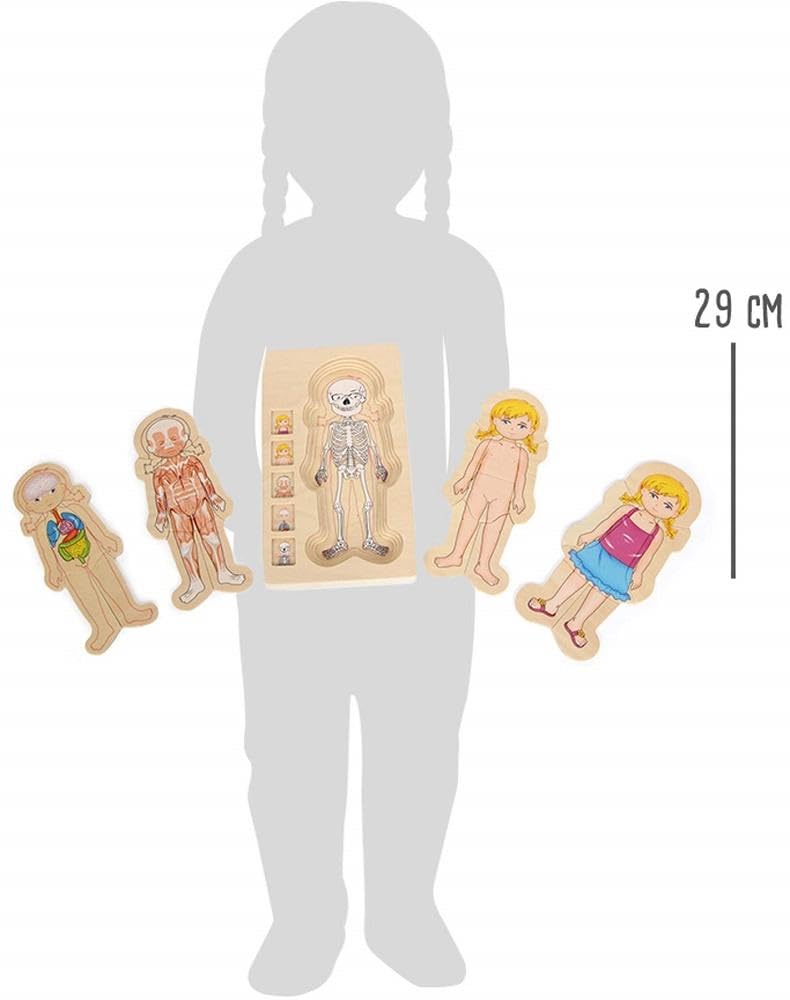 Small Foot 5814 Wooden Anatomy Girl Puzzle, 29-Piece 5-Layer Educational Toy for Kids Ages 3+ – Perfect for Learning Human Body & STEM Development