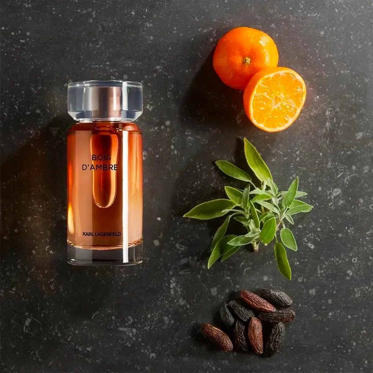 Bois De Ambre 3.4 oz Eau de Toilette for Men - Long Lasting Fragrance for Date Night, Office & Special Occasions