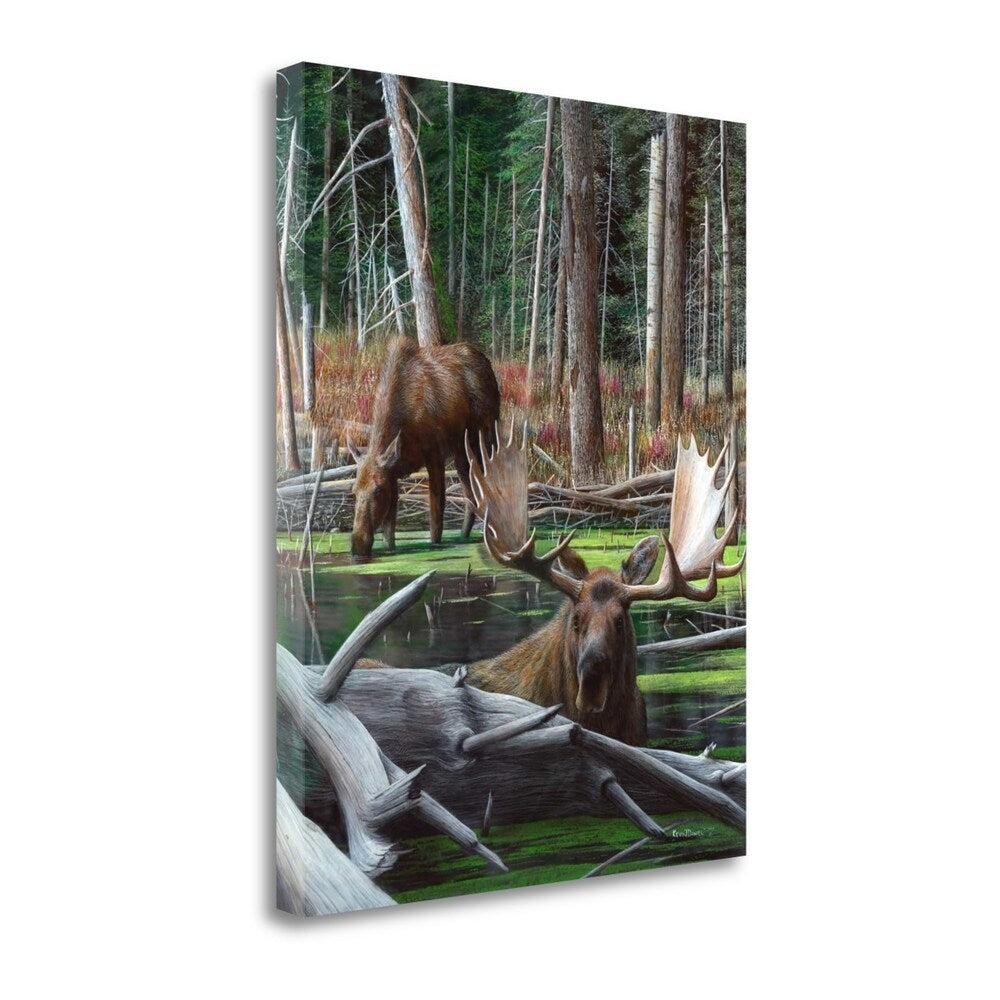 At Waters Edge By Kevin Daniel - Premium Fine Art Giclee Print on Gallery Wrap Canvas, Ready to Hang Wall Art - Perfect for Living Room, Bedroom & Office Decor