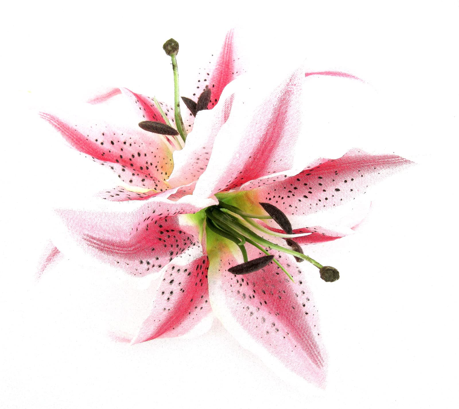 XL Double 8 Inch Pink Cream Tiger Lily Silk Flower Hair Clip with Teeth - Perfect for Weddings, Prom, Bridal Accessories & Everyday Hair Styling
