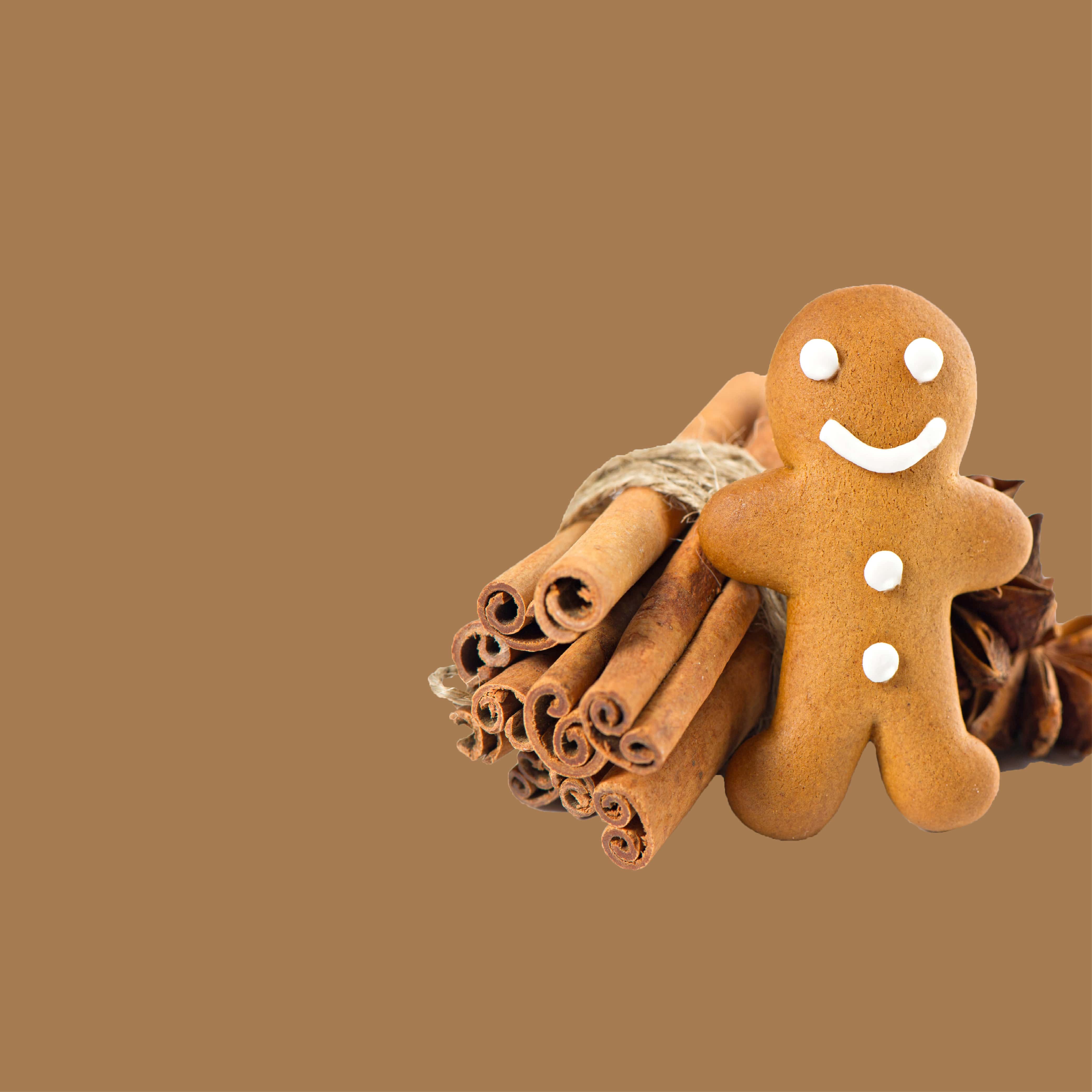 NO. 40 Gingerbread Fragrance Oil for Cold Air Diffusers - Holiday Home Scent, Christmas Aromatherapy, Cozy Winter Atmosphere