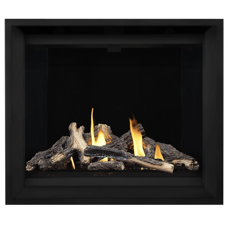 Napoleon Altitude X 42 Direct Vent Gas Fireplace - 42 Inch Natural Gas Fireplace Insert with Remote Control | AX42 1 | Perfect for Living Rooms, Bedrooms & Outdoor Patios