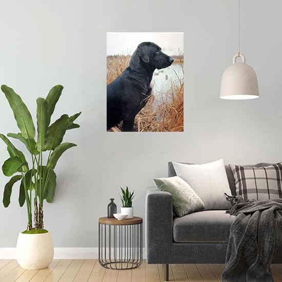 Black Labrador Hunting Dog Wall Art Print - 16x20 Inches Wildlife Decor Poster for Living Room, Office & Cabin