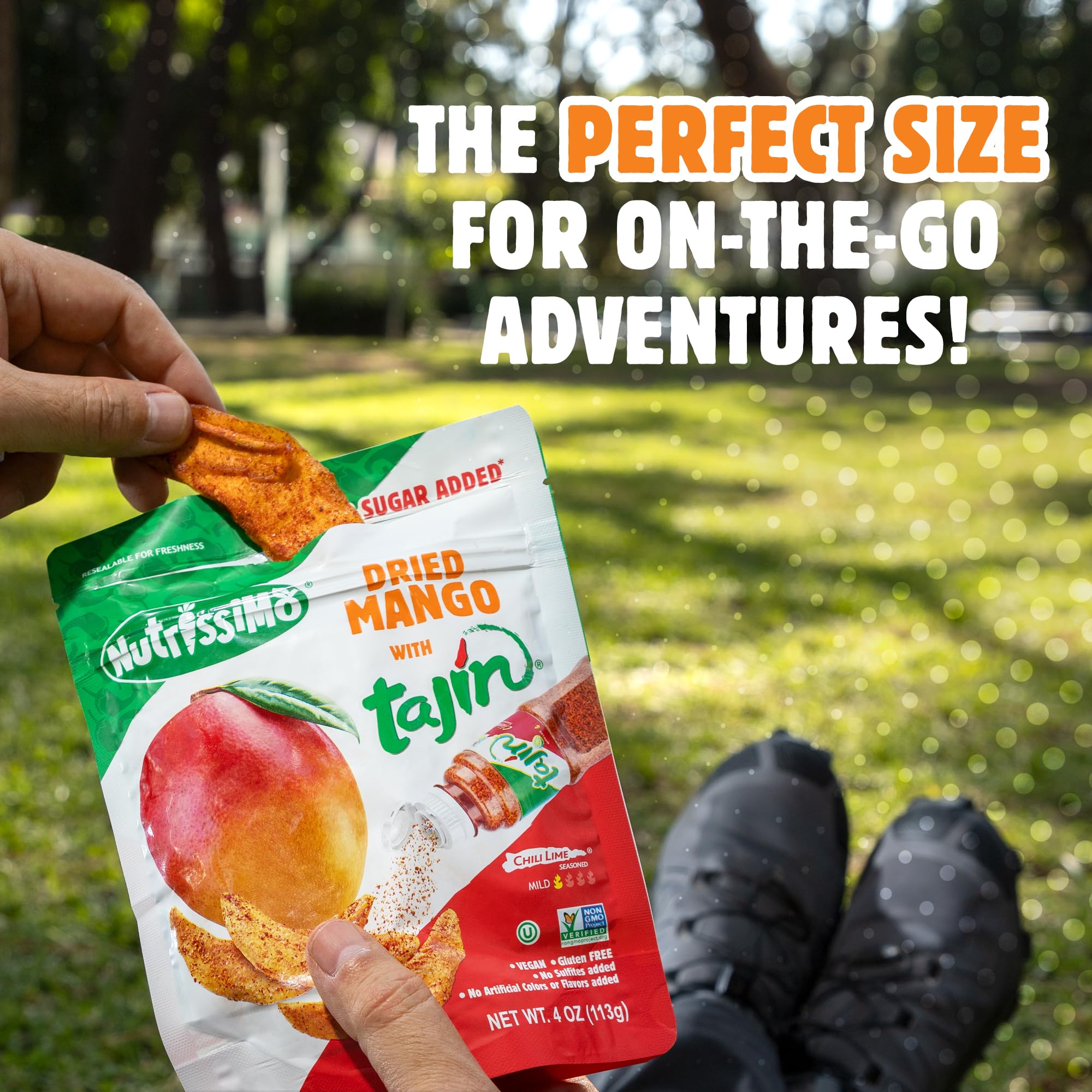 Nutrissimo Dried Mango with Tajin Seasoning - No Sugar Added, Gluten-Free, Vegan Fruit Snacks - 4oz (12 Pack) | Healthy On-the-Go Snack for Work, School & Travel