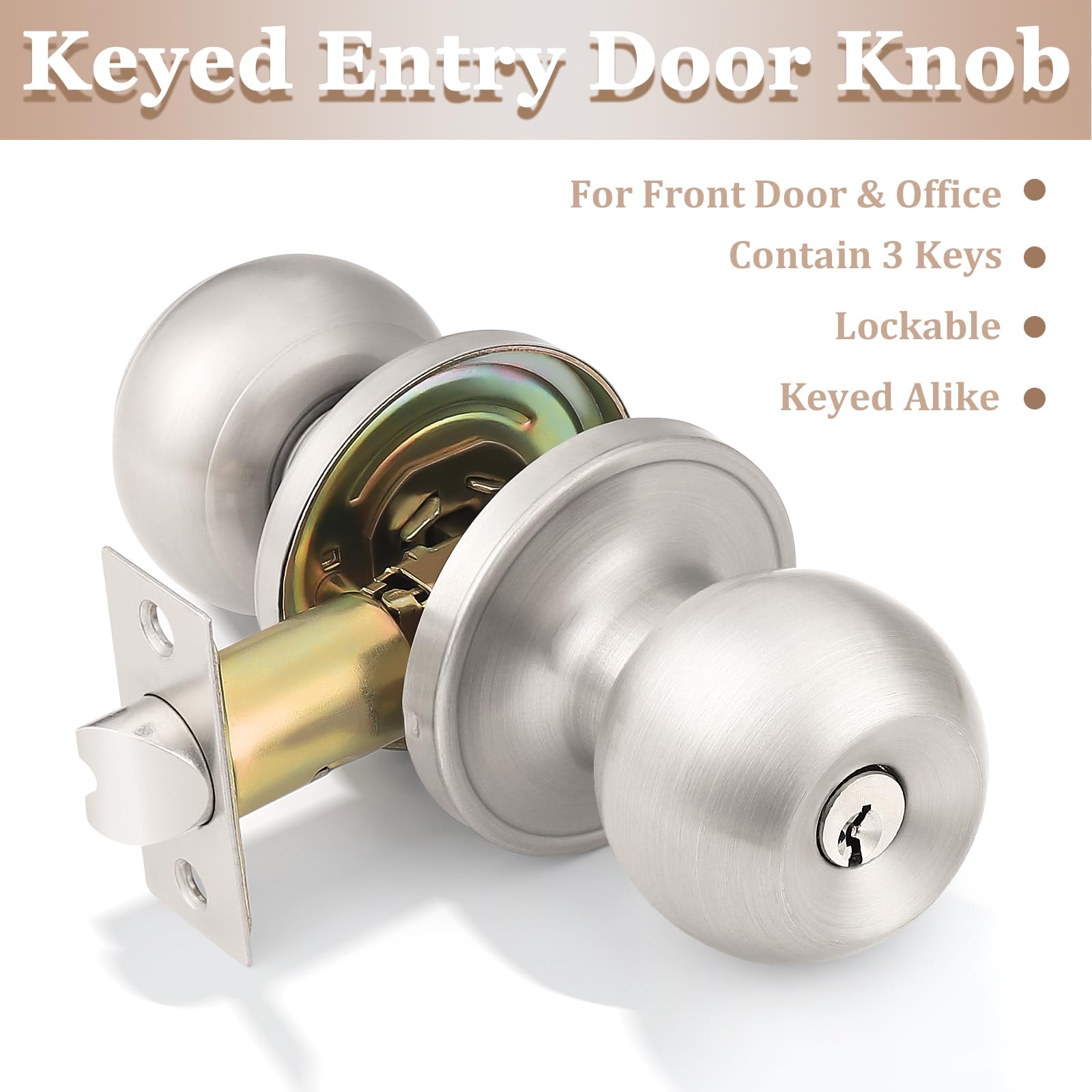 Probrico 10-Pack Keyed Alike Entry Door Knobs - Satin Nickel Finish Locking Door Handles with 3 Combination Keys | Secure Office & Front Door Locks for Home & Business Security